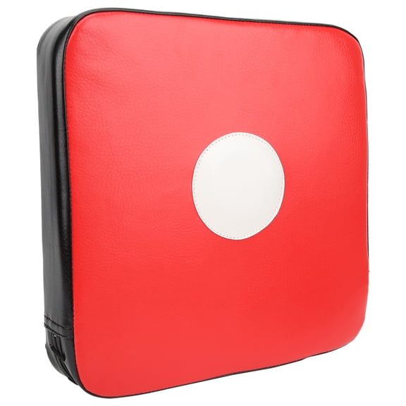 Riousery Artificial Leather Wall Mounted Punch Pad Adjustable Boxing Target Pad for Training (12.2 inches / 31 cm)