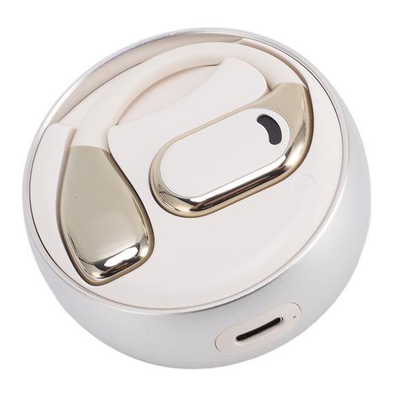 Riousery Bluetooth 5.49 Translation Earbuds 144 Online Languages HD Sound Binaural Touch Control Real Time Language Translator Earbuds White, 32.8 ft / 10m Connect Distance