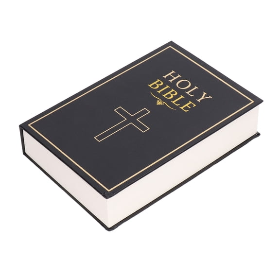Riousery Diversion Book Safe Secret Metal Lock Box with 2 Keys, 8.66 inches / 22 cm, Model B
