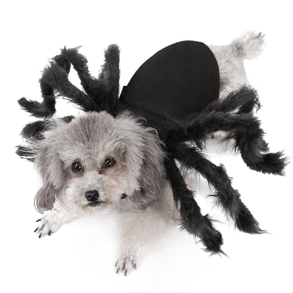 Riousery Halloween Dogs Cats Spider Costume Pet Party Outfits Black M Size Furry Legs Adjustable Fancy Dress Cosplay Apparel for Small Pets 15 inches / 38.1 cm[cite: 1]