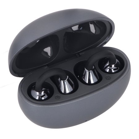 Riousery Language Translation Earbuds 144 Languages Online Translation Bluetooth 5.4 Translator Earphones for Study Work Life iOS Android Iron Gray