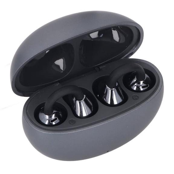 Riousery Language Translation Earbuds 144 Languages Online Translation Bluetooth 5.4 Translator Earphones for Study Work Life iOS Android Iron Gray
