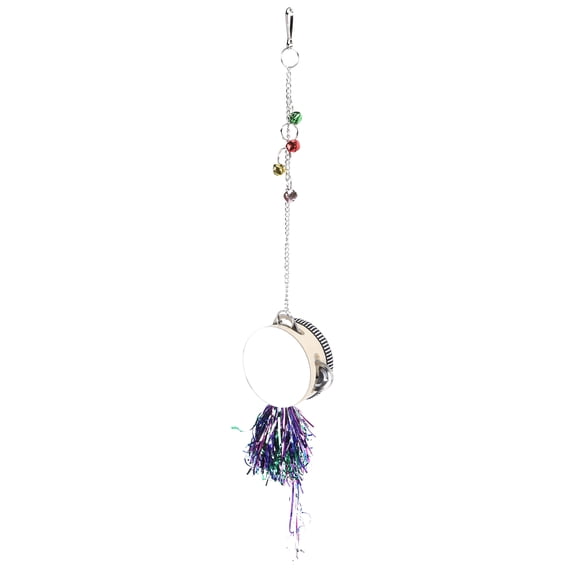 Riousery Pet Chicken Mirror Drum Toys Chicks Hens Hanging Double Side Playing Toy with Bells (4.72 inches / 12 cm)