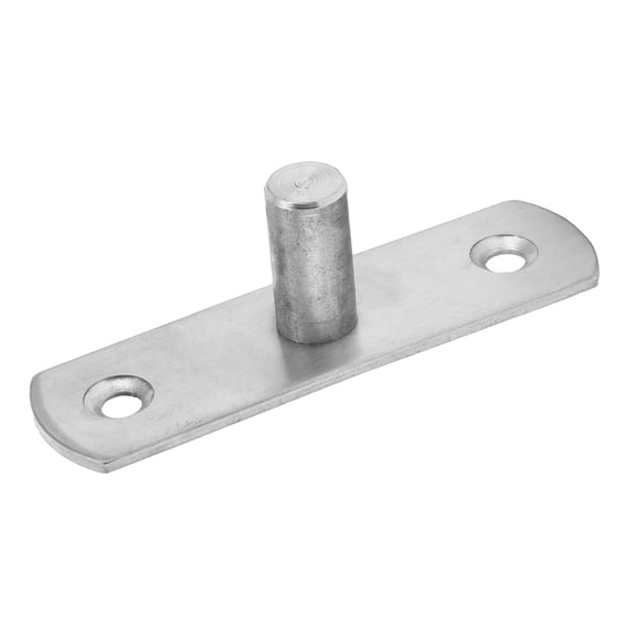 Riousery Premium 201 Stainless Steel Door Pivot Hinge for Glass Doors, Heavy-Duty Pivot Hinge Pin Hardware Accessory, 3.5x1.0x1.1 inches / 90x26x27mm