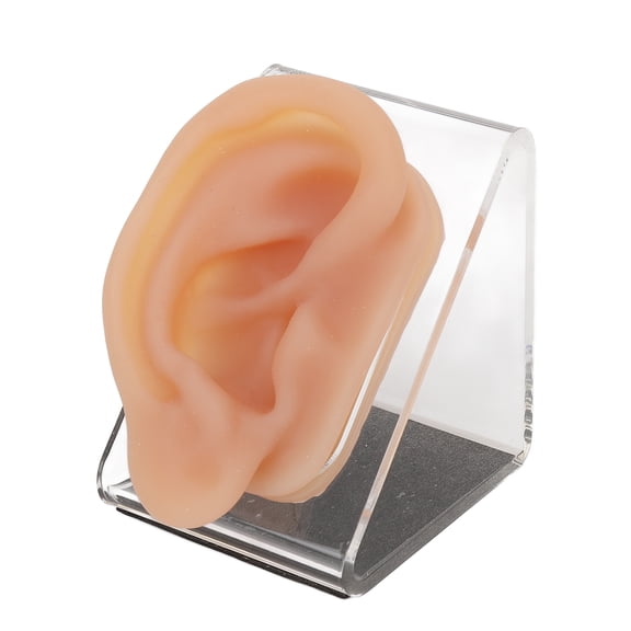Riousery Premium Silicone Ear Model Simulated Acupuncture Practice Tool With Display Stand For Professional Ear Piercing Display And Educational Study, Realistic Skin Texture, 3.54 In / 9 cm