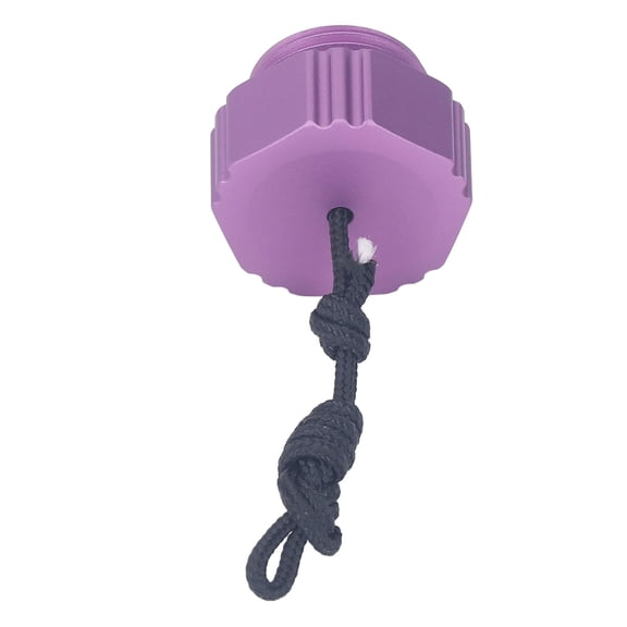 Riousery Scuba Diving Regulator Dust Cap Threaded Aluminum Alloy First Stage DIN Scuba Tank Valve Dust Protector Cap Purple, 1.18 x 1.18 x 0.79 Inches / 3.00 x 3.00 x 2.00 CM