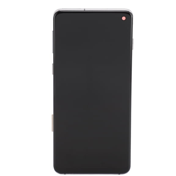 Riousery TFT LCD Touch Screen Replacement Digitizer Assembly with Frame for Samsung Galaxy S10, Includes Complete Repair Tool Kit, Black
