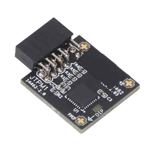 Riousery TPM 2.0 Security Module SPI 12Pin SLB 9670 Chipset Replacement Motherboard Part for Windows 10 11 400 500 600 700 A520 B550 X570S Series Boards 1 x 0.8 in / 25 x 20 mm Black