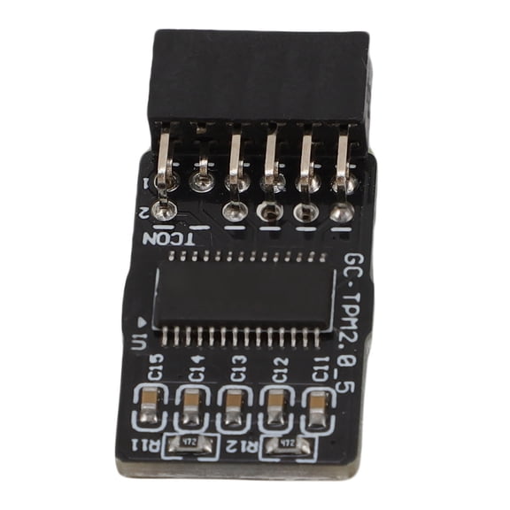 Riousery TPM2.0 Security Module Replacement for GC TPM2.0 S 12 Pin LPC Interface Encryption Board, 1.06 inches / 27 mm