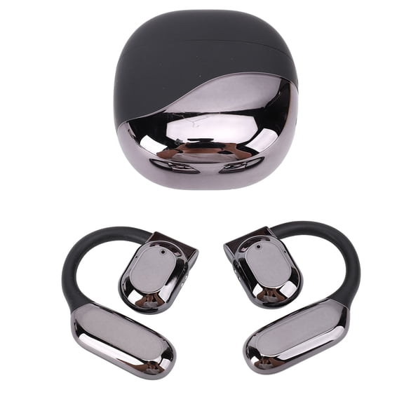 Riousery Translation Earbuds Earhook Active Noise Reduction Wireless Bluetooth AI Language Translator Earbuds, Premium Black Edition, 4.7 inches / 12 cm