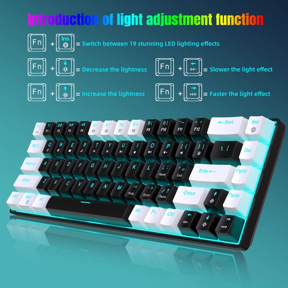 Riousery V800 Mechanical Gaming Keyboard with Ice Blue Backlight, 68 Keys Hot-Swappable Wired Ergonomic Mini Keyboard for Windows Mac Linux Desktop Laptop Office, White and Black (12.6 x 4.0 in)