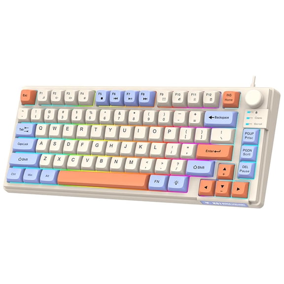 Riousery Wired Gaming Keyboard Colourful Backlit 81-Key Minimalist Computer Office Keyboard with MDA Height Ball Cap 26-Key N-Key Rollover, Lake Blue (13.2 in / 33.5 cm)