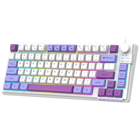 Riousery Wired Gaming Keyboard Colourful Backlit 81-Key Minimalist Computer Office Keyboard with MDA Height Ball Cap 26-Key N-Key Rollover, Violet Purple (13.2 in / 33.5 cm)