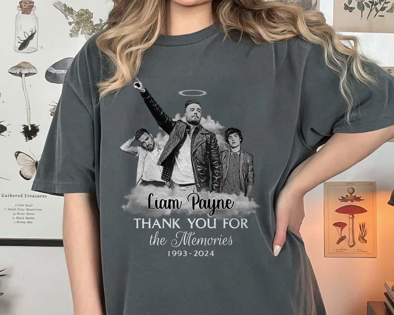 Rip Liam Payne 2024 Shirt, In Memory Of Liam Payne TShirt, One