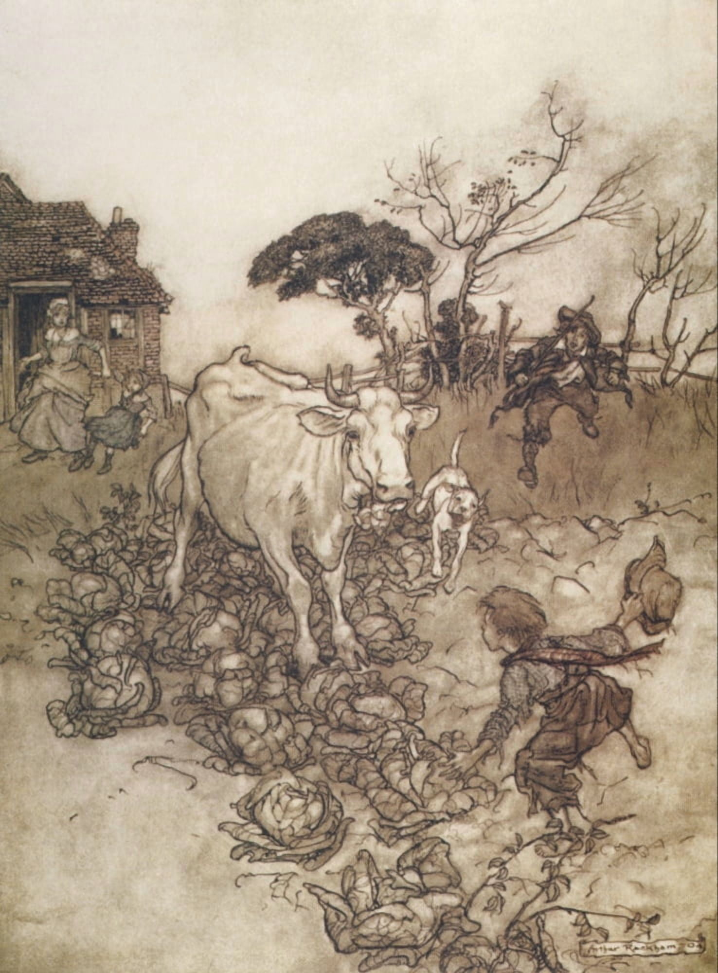 Rip Van Winkle 1905 Cow amongst cabbages Canvas Art - A Rackham (18 x 24)