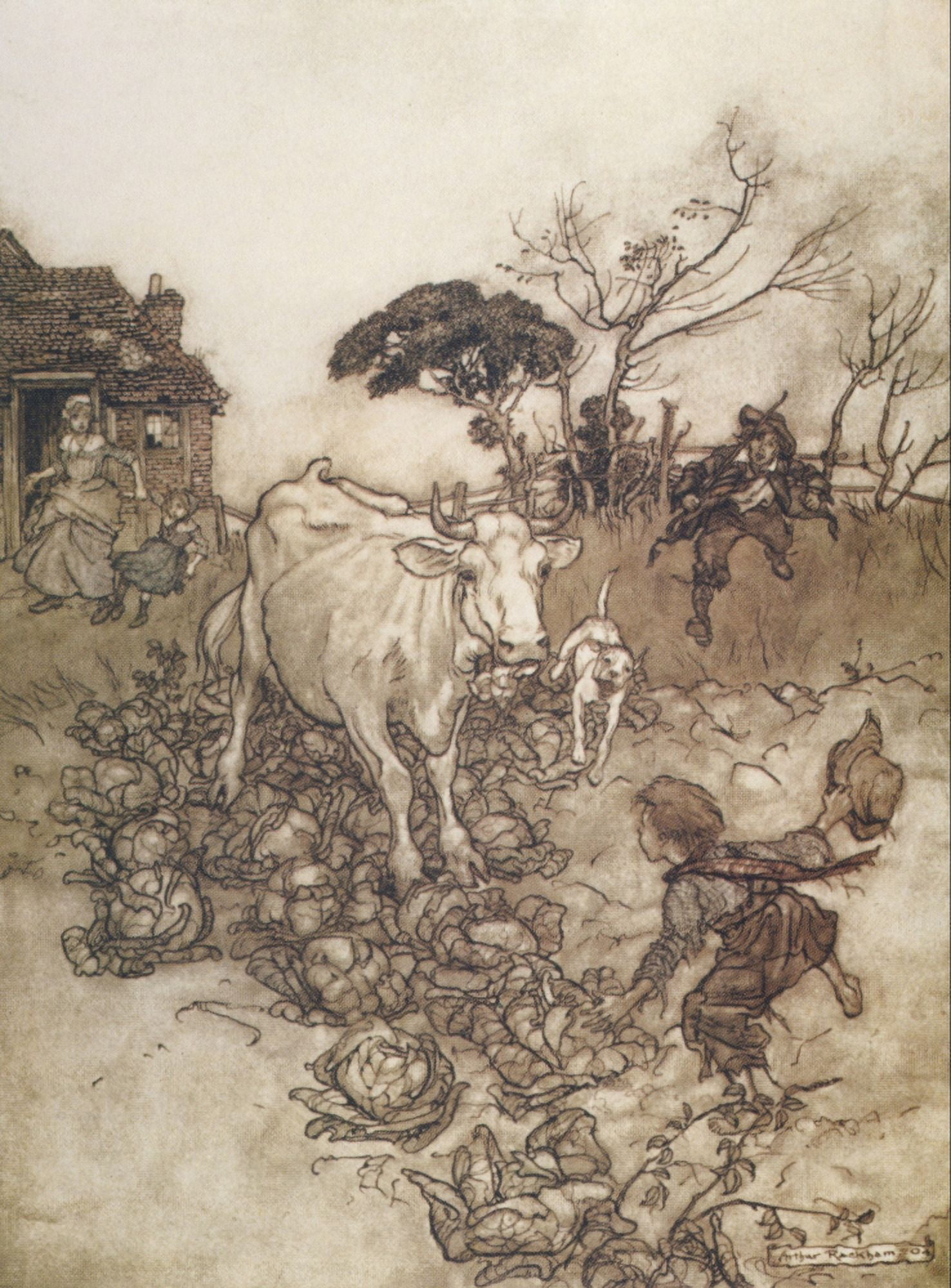 Rip Van Winkle 1905 Cow amongst cabbages Canvas Art - A Rackham (24 x 36)