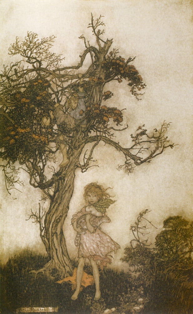 Rip Van Winkle 1905 Ragged & wild children Canvas Art - A Rackham (18 x 24)