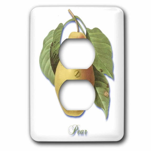 3dRose, Ripe Golden Pear Hanging on a Branch Botanical Print, 2 plug outlet cover