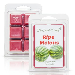 Febreze Odor-Eliminating Scented Wax Melts Watermelon Scent, 2.75 oz. Wax  Melts (6 Cubes)