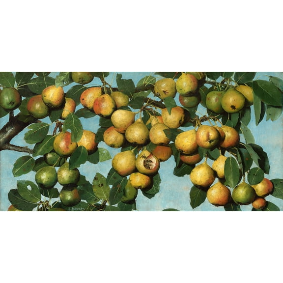 Ripening Pears by Joseph Decker - 12" x 18" Art Print Wall Decor