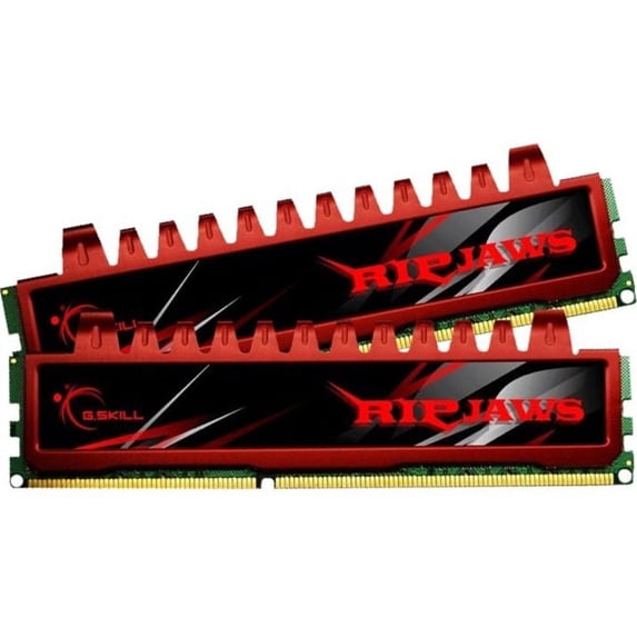 Ripjaws 8GB DDR3 SDRAM Memory Module
