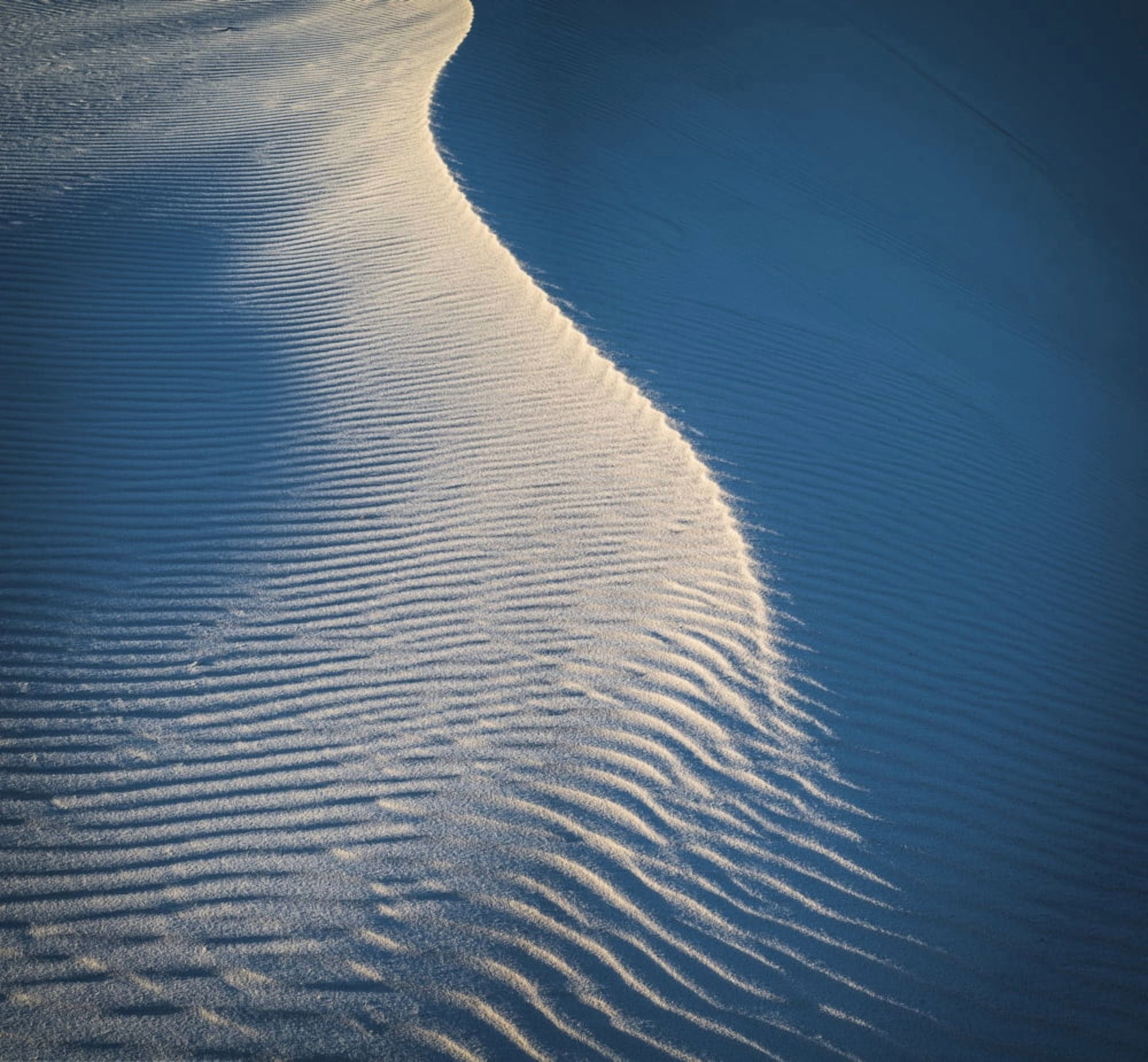 Ripple pattern on edge of sand dune White Sands National Monument New Mexico USA Canvas Art - Panoramic Images (24 x 24)