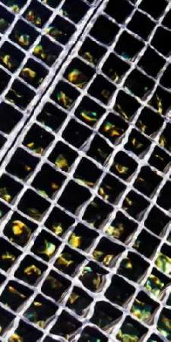 Rippled Steel II Canvas Art - Alan Hausenflock (10 x 20)