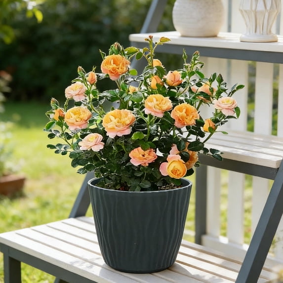 Ripples Circular Flower Pot, Large Planter, Home Gardening Balcony Pot, Textured Ceramic Look Planter, Indoor Outdoor Container, Modern Design Flowerpot