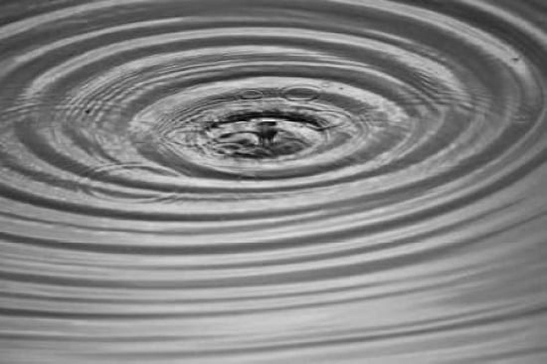 Ripples II Canvas Art - Tammy Putman (20 x 28)