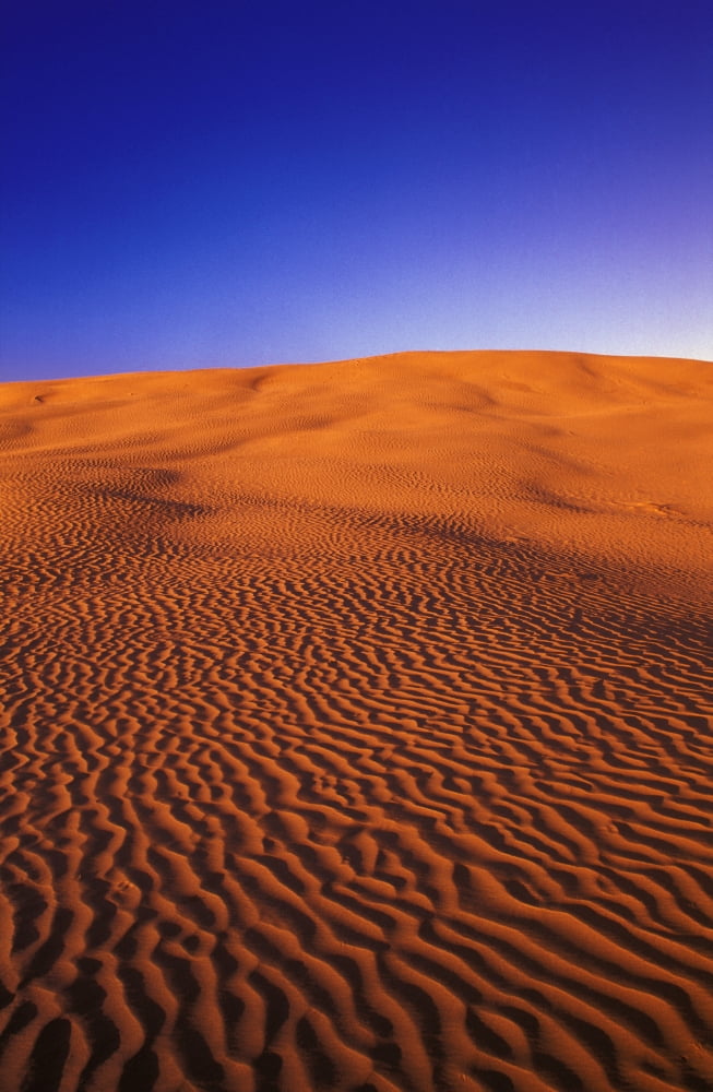 Ripples In The Sand Canvas Art - Carson Ganci Design Pics (22 x 34)