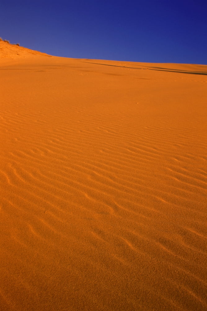 Ripples In The Sand Canvas Art - Carson Ganci Design Pics (22 x 34)