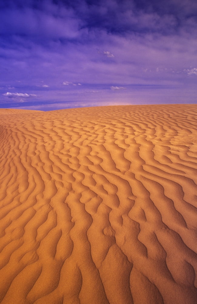 Ripples In The Sand Canvas Art - Carson Ganci Design Pics (22 x 34)