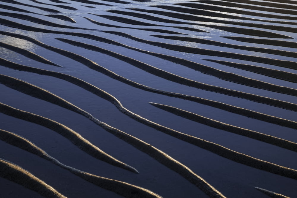 Ripples created by the action of wind water and tides are revealed as the evening tide receeds Eagle Beach State Recreation Area (near Juneau) Alaska Canvas Art - John Hyde Design Pics (38 x 24)