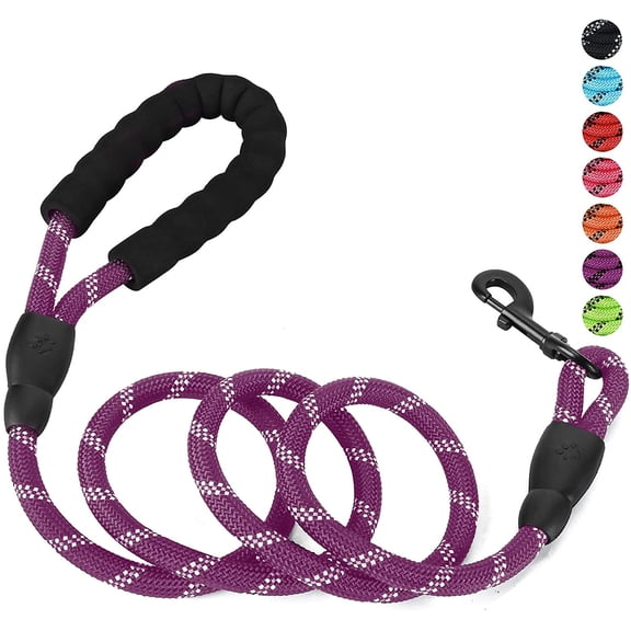 Rirool 5ft 1/2in Purple Nylon Rope Dog Leash, Heavy Duty Reflective Pet Lead with Soft Padded Anti-Slip Handle and Metal Clasp for Medium Large Dogs 18-120 lb, Walking Training Running