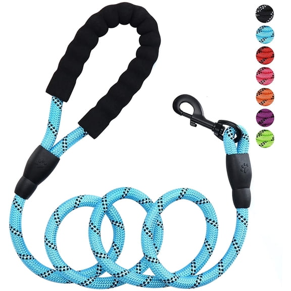 Rirool 5ft 1/2in Blue Nylon Rope Dog Leash, Heavy Duty Reflective Pet Lead with Soft Padded Anti-Slip Handle and Metal Clasp for Medium Large Dogs 18-120 lb, Outdoor Walking Training