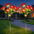thumbnail image 1 of Rirool Solar Camellia Flower Garden Stake Lights, 7 Heads Outdoor Solar Lights Waterproof, Warm White Decorative Lights for Yard Lawn Patio Pathway, Red 2 Pack, 1 of 8
