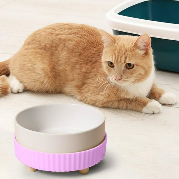 Rirozkan Heated Cat Bowl, Ceramic Pet Dish with Warming Function, Automatic Temperature Control Food Bowl, Elevated Feeder for Winter Meals and Pet Comfort, Purple