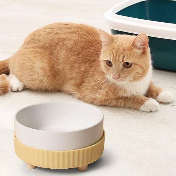Rirozkan Heated Cat Bowl, Ceramic Pet Dish with Warming Function, Automatic Temperature Control Food Bowl, Elevated Feeder for Winter Meals and Pet Comfort, Yellow