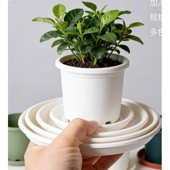 Rirozkan Plastic Plants Saucer, Deep Flower Pot Tray, Heavy Duty Drip Tray, Round Water Catcher, Pot Plants Drainage Tray, for Indoor or Outdoor Potted Plants