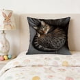 thumbnail image 1 of Rirozkan Spring Cushion Cover, Easter Pet Pattern Throw Pillow Cover, 18 Inch Square Decorative Pillow Case for Sofa Couch, Plush Imitation Embroidery Home Decor for Living Room Bedroom, 1 of 6
