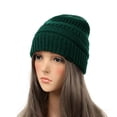 thumbnail image 1 of Risckoth Unisex Chunky Knit Beanie Ribbed Texture Folded Cuff Casual Winter Hat, Green, 1 of 2