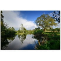 "Rise Above" Canvas Art by Philippe Sainte-Laudy