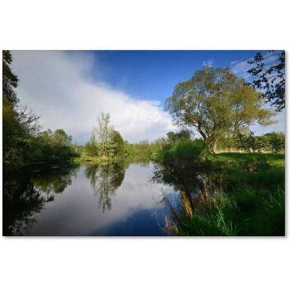 "Rise Above" Canvas Art by Philippe Sainte-Laudy