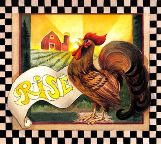 Rise And Shine Canvas Art - Jamie Carter (19 x 17)