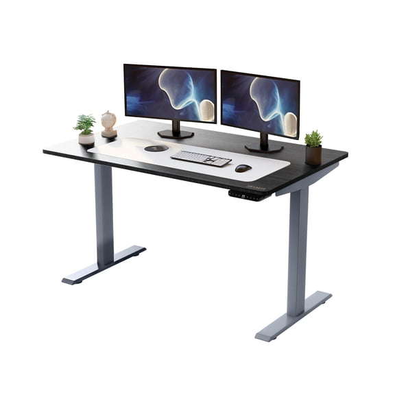 Rise Up 48x30” Bamboo  Solid Top Electric Standing Desk | One-Piece Memory Desktop Dual Motor Adjustable Height Desk 27–47” Ergonomic Sit Stand Workstation