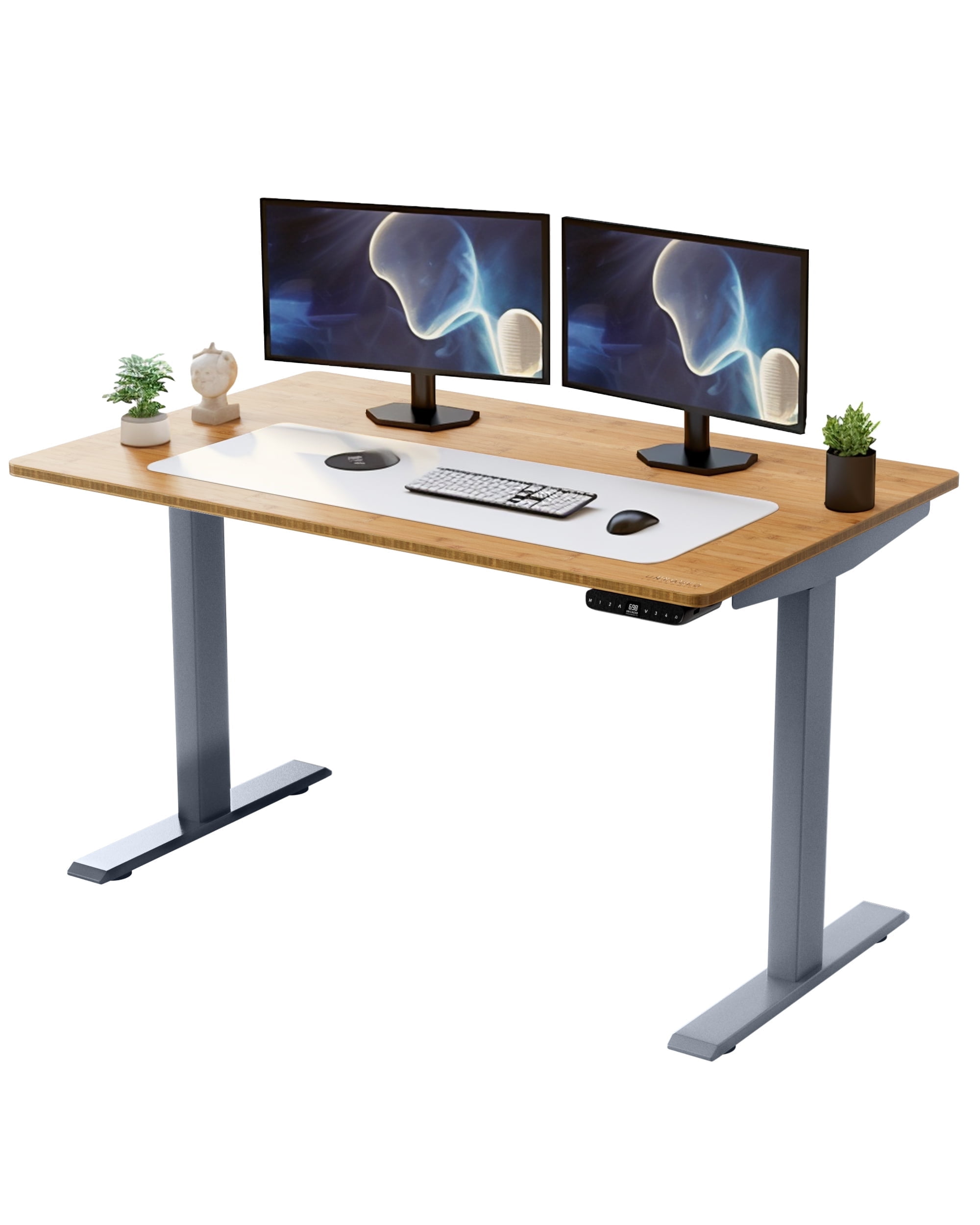 Rise Up 48x30” Bamboo  Solid Top Electric Standing Desk | One-Piece Memory Desktop Dual Motor Adjustable Height Desk 24–49” Ergonomic Sit Stand Workstation