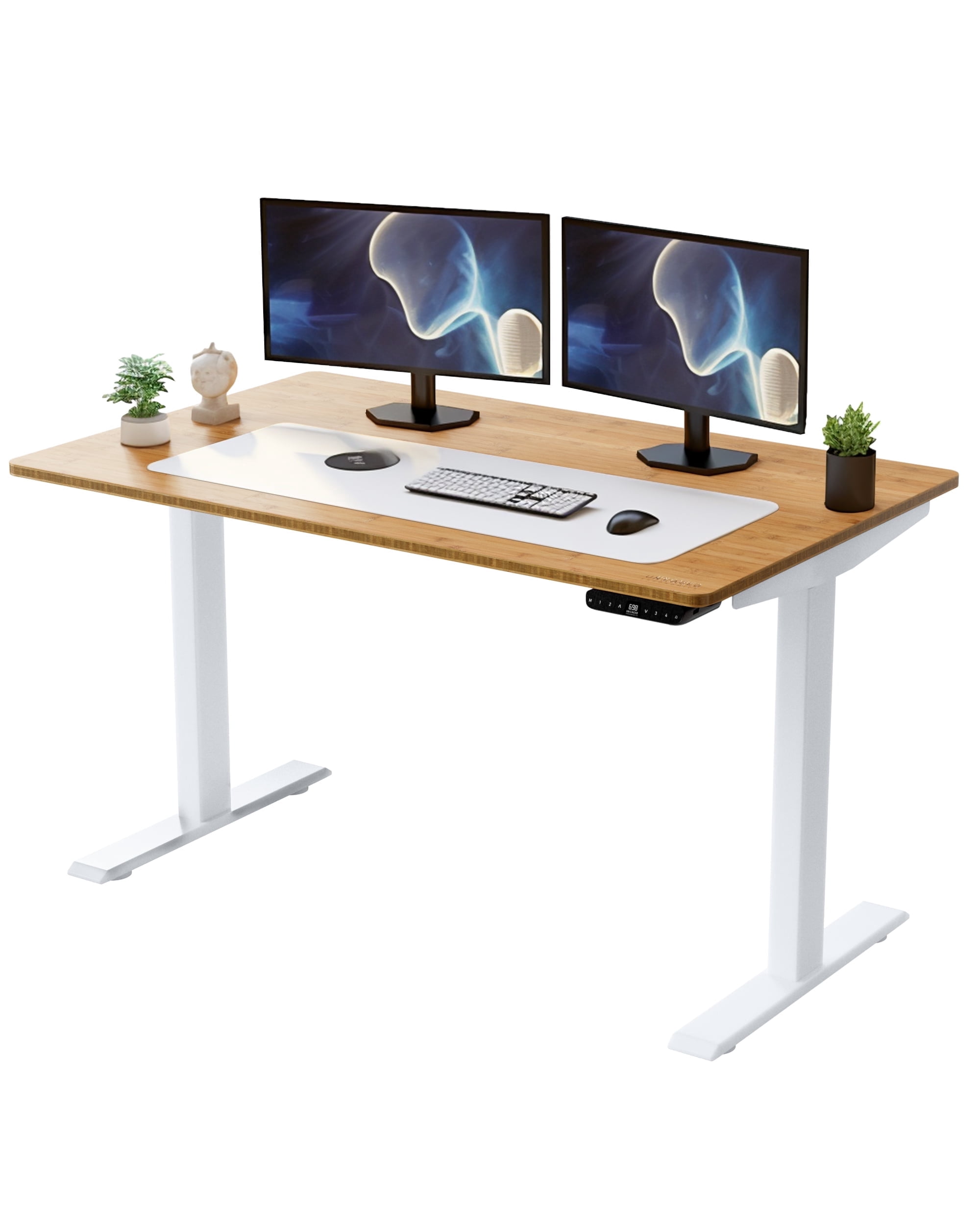 Rise Up 48x30” Bamboo  Solid Top Electric Standing Desk | One-Piece Memory Desktop Dual Motor Adjustable Height Desk 24–49” Ergonomic Sit Stand Workstation