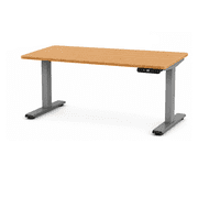 Rise Up 2-stage Dual Motor Electric Standing Desk, 60 x 30 Natural Bamboo Desktop, Gray Frame