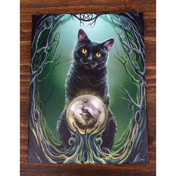 Rise Of The Witches Black Cat By Scrying Ball Wood Framed Canvas Wall Decor