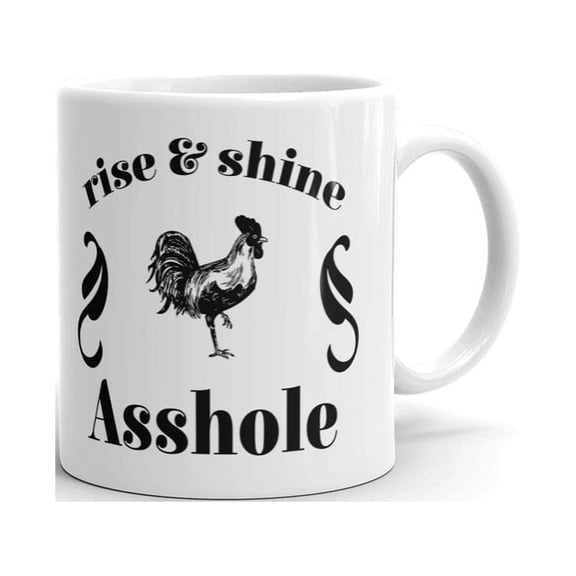 Rise & Shine Funny Coffee Tea Ceramic Mug Office Work Cup Gift 11 oz